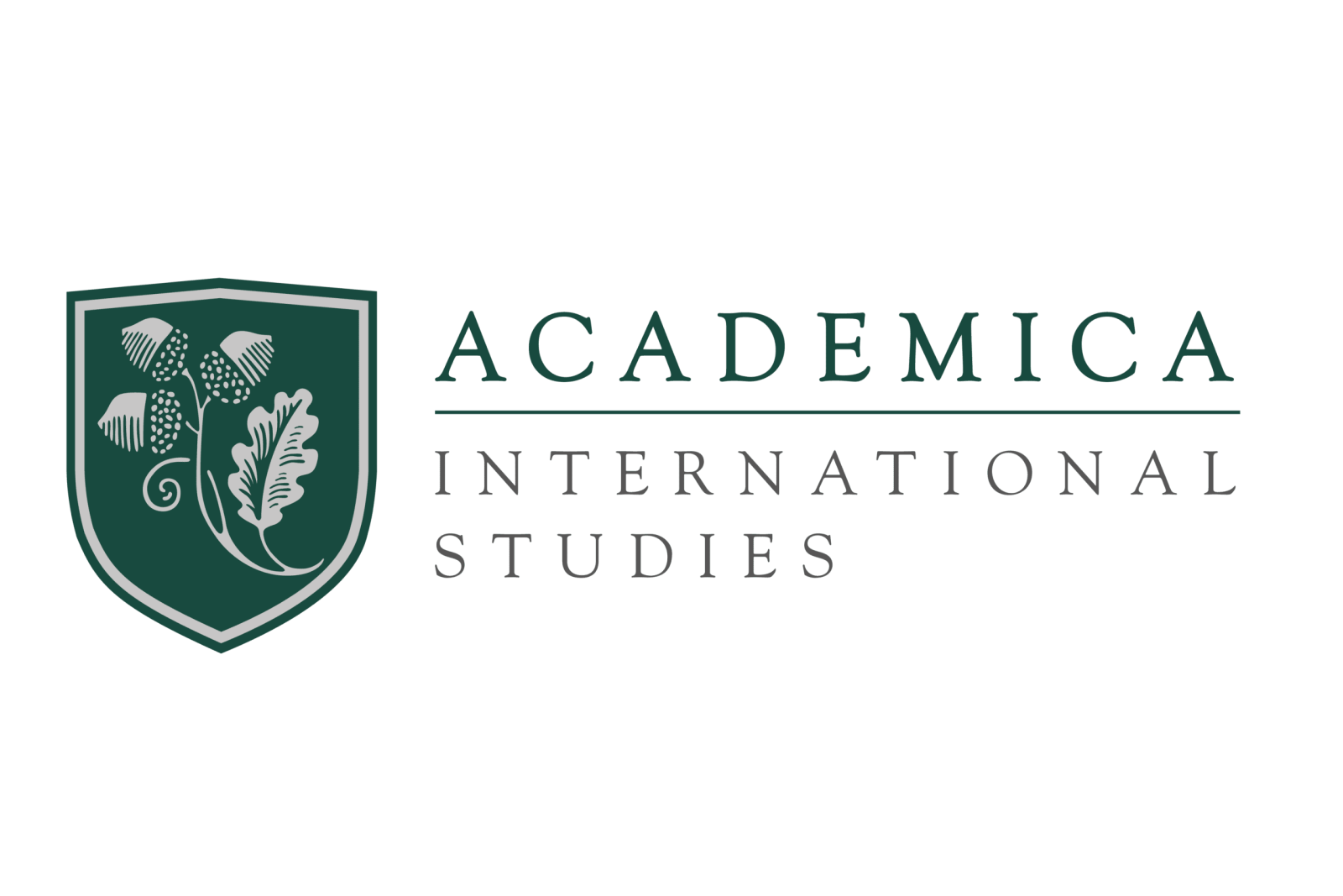 Academica International Studies (DUAL)